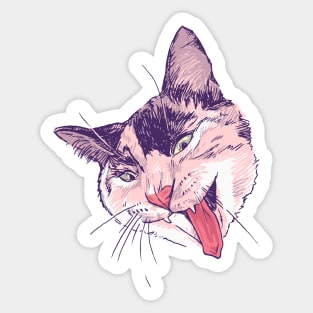 Wassup Calico Kitty! Sticker